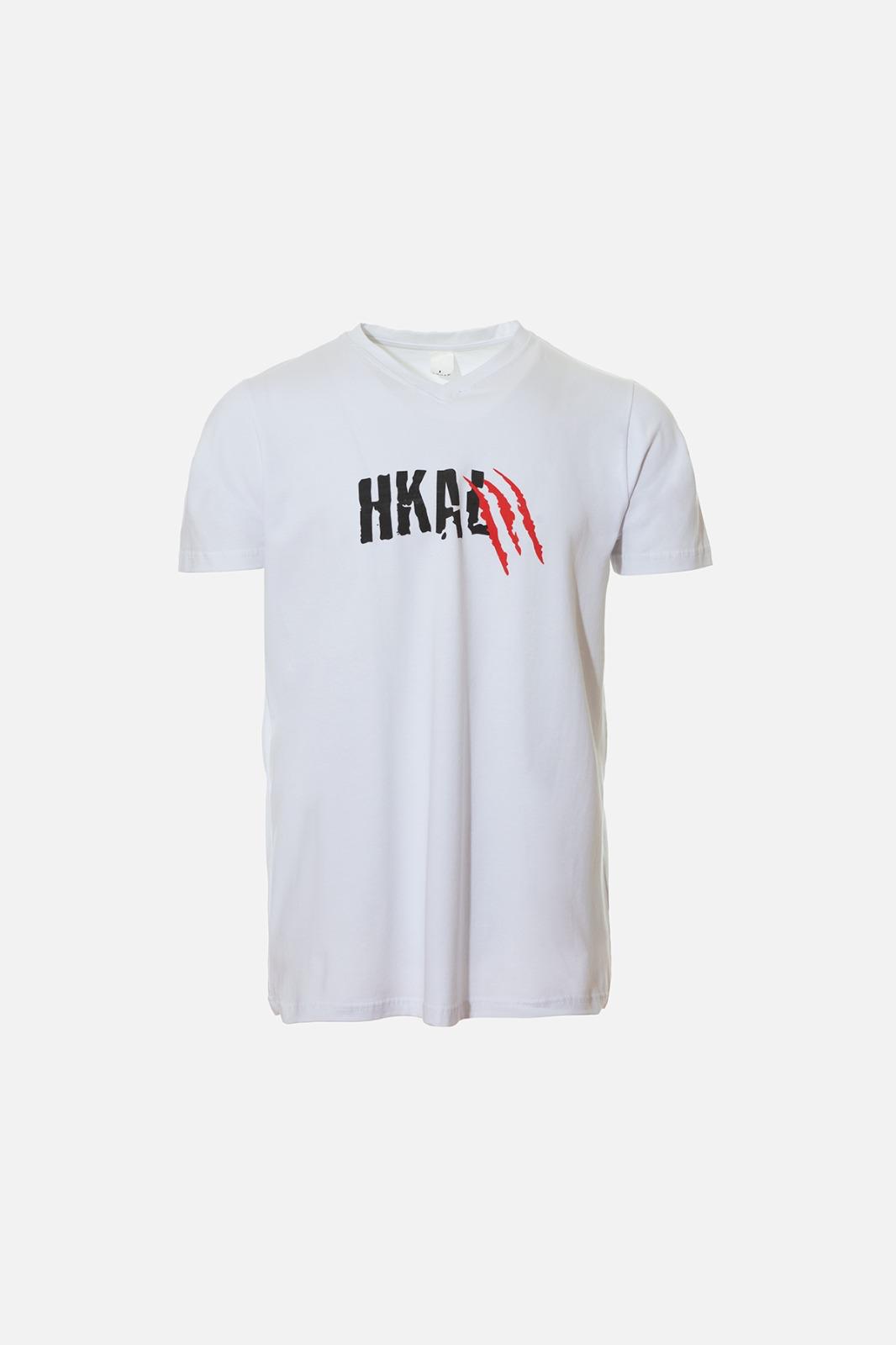 hayrullah-kefoğlu-basic-baskılı