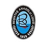 Besiktas Anadolu Lisesi